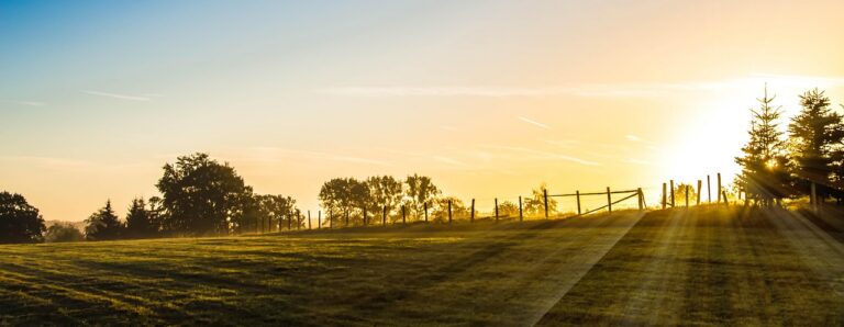Ein neuer Tag – A New Day